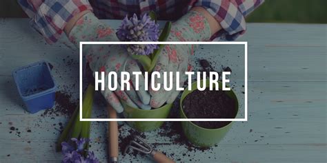 free practice test for a degree in horticulture in canada|rsos horticulturist exam.